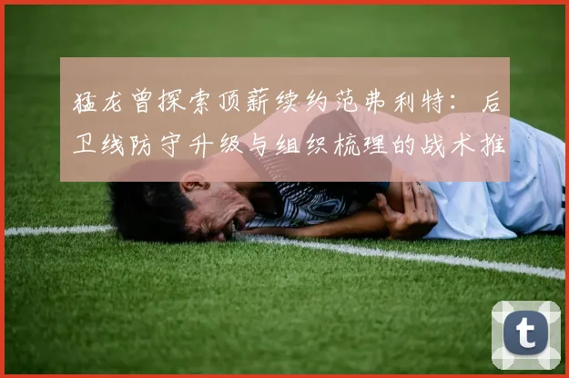 猛龙曾探索顶薪续约范弗利特：后卫线防守升级与组织梳理的战术推演分析