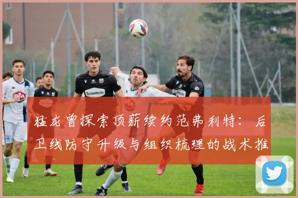 猛龙曾探索顶薪续约范弗利特:后卫线防守升级与组织梳理的战术推演分析