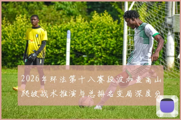 2026年环法第十八赛段波加查高山爬坡战术推演与总排名变局深度分析