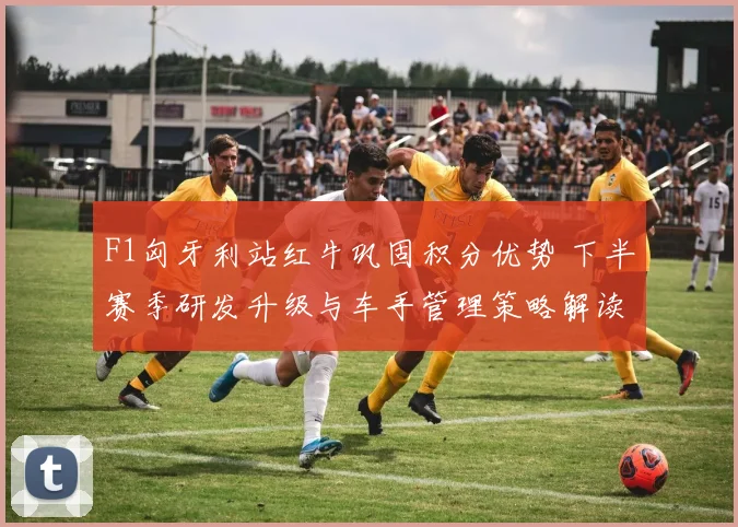 F1匈牙利站红牛巩固积分优势 下半赛季研发升级与车手管理策略解读与挑战