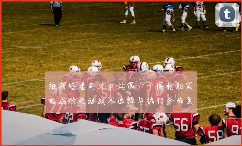 维斯塔潘匈牙利站第六十圈轮胎策略成败之谜战术选择与执行全面复盘