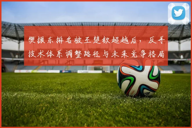 樊振东排名被王楚钦超越后，反手技术体系调整路径与未来竞争格局